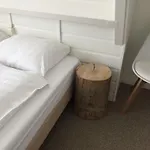 Boutique Hotel 3*